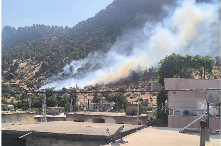 Siirt’te orman yangını büyümeden kontrol altına alındı
