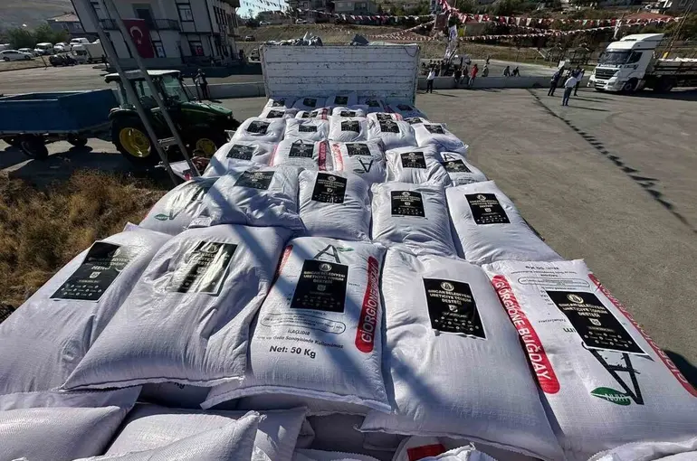 Sincan Belediyesi’nden çiftçilere buğday tohumu desteği
