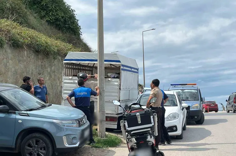 Sinop’ta belediyeye ait tabelayı alan şahıs polis merkezine götürüldü
