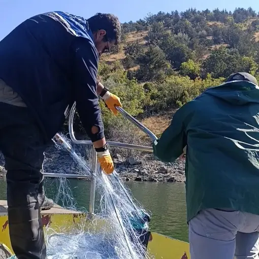 Sinop’ta kaçak avcılığa karşı kararlı mücadele
