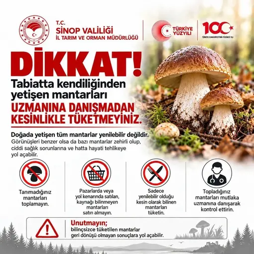 Sinop’ta mantar toplayıcılarına uyarı
