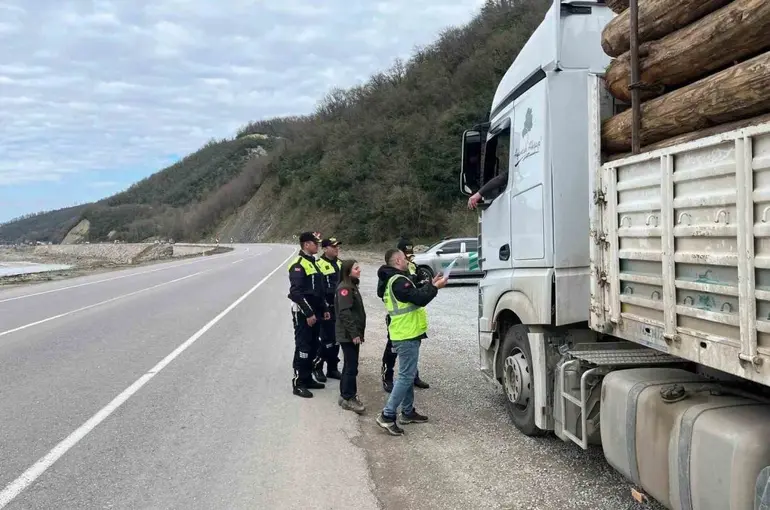Sinop’ta ormanlara koruma kalkanı
