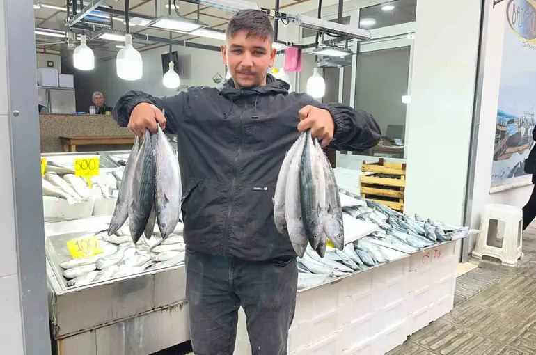 Sinop’ta palamut 50 lira
