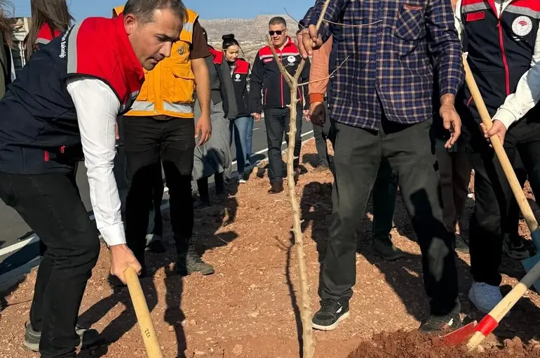 Şırnak-Cizre karayolu refüjünde 365 fidanlık ağaç dikimi yapıldı
