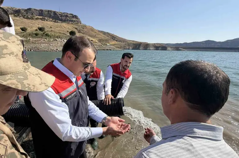 Şırnak’ta Ilısu Baraj Gölü’ne 800 bin yavru şabut balığı bırakıldı
