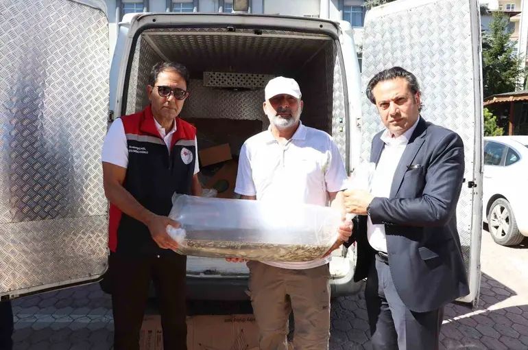 Sivas’ta yüzbinlerce yavru balık göl ve göletlere bırakıldı
