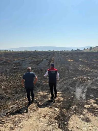 Söke’de yangından zarar gören tarım arazileri incelendi
