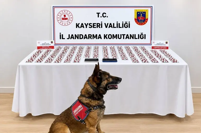 Şüphe üzerine durdurulan araçta bin 81 adet sentetik hap çıktı
