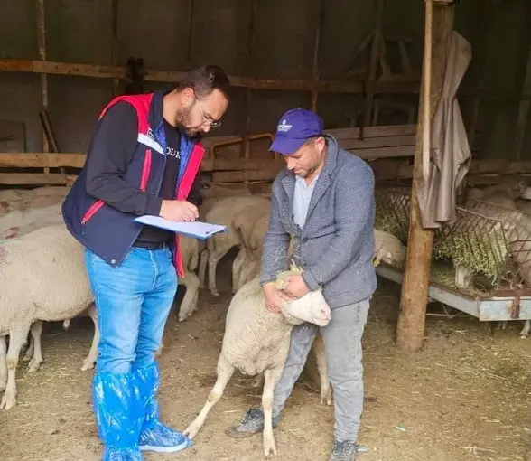 Sürdürülebilir Koyun Projesi çerçevesinde işletme denetimleri sürüyor
