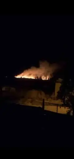 Tarım arazisindeki yangın büyümeden söndürüldü
