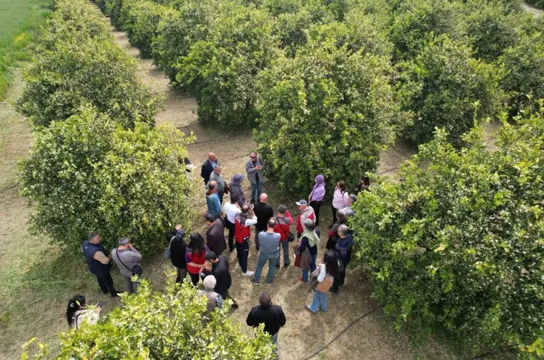 Tarımda yeni dönem başlıyor

