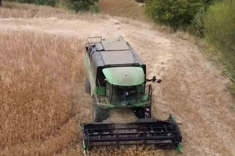 Tavşanlı’da aspir hasadı devam ediyor
