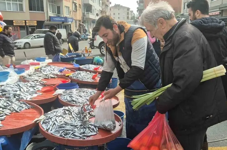 Tekirdağ’da hamsi 50 TL’ye düştü
