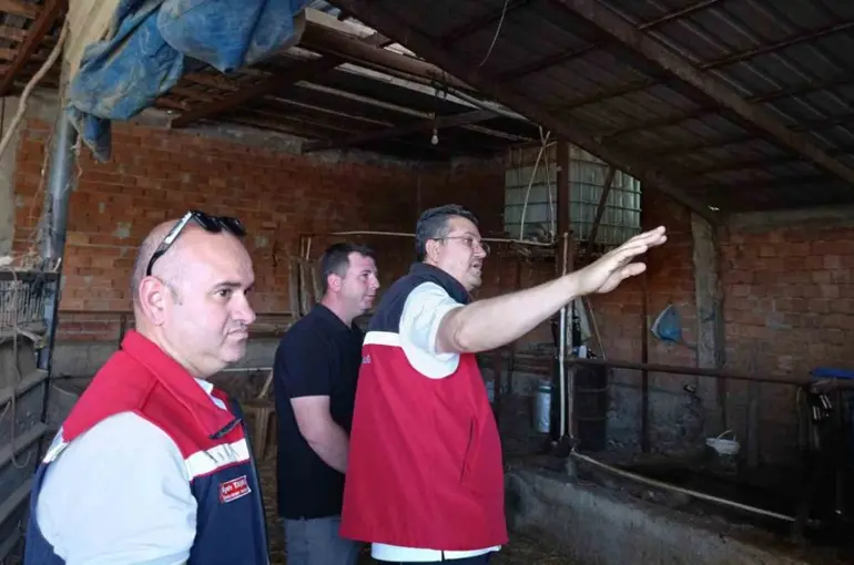 Tekirdağ’da hayvancılık faaliyetleri yerinde incelendi
