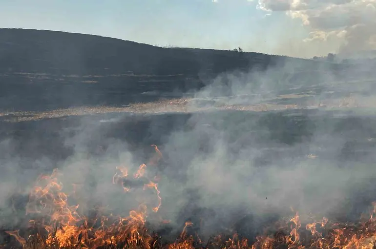 Tekirdağ’da korkutan anız yangını
