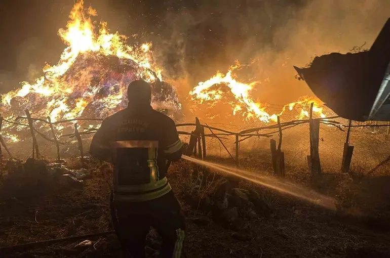 Tekman’da yangın; 2 bin 500 balya ot kül oldu
