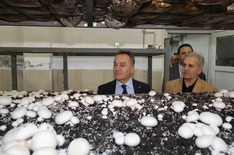 TOGÜ’de üretime dayalı eğitim modelleri güçleniyor
