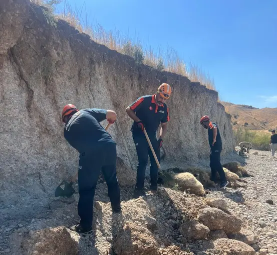 Toprak kaymasında 6 küçükbaş hayvan telef oldu
