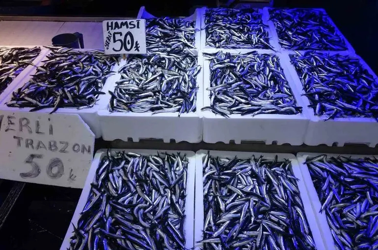 Trabzonlular hamsiye doydu
