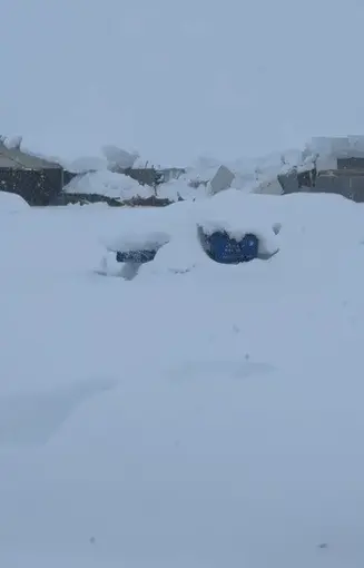 Tunceli’de kar yüküne dayanamayan iş yerinin çatısı çöktü
