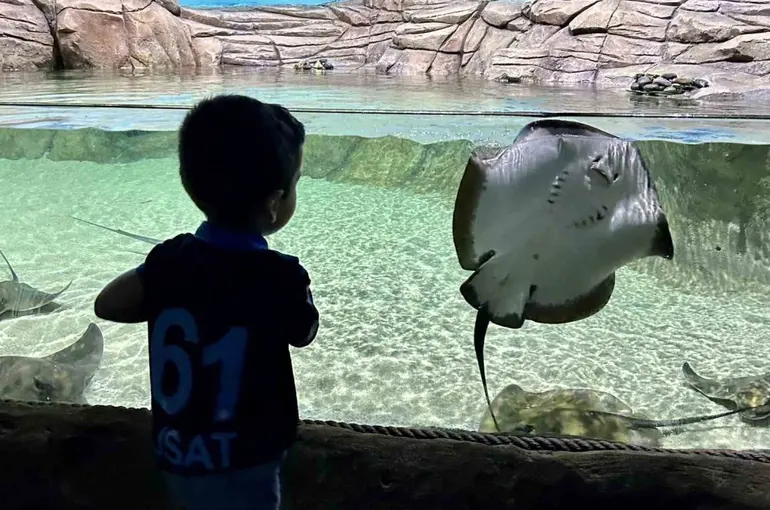 Tünel Akvaryum turistlerin gözdesi oldu
