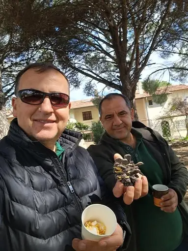 Türkiye çam balı üretiminde dünya birincisi
