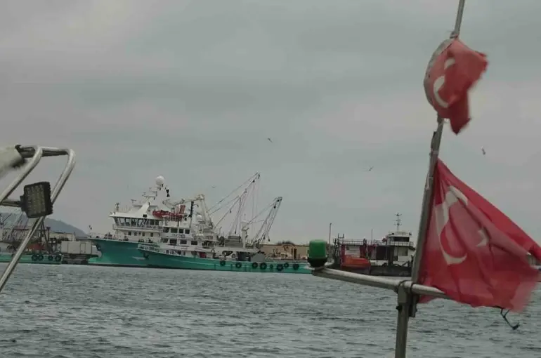 Türkiye’yi terk eden hamsinin yolu gözleniyor
