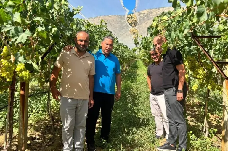 Üreticinin hasat heyecanına ortak oldular
