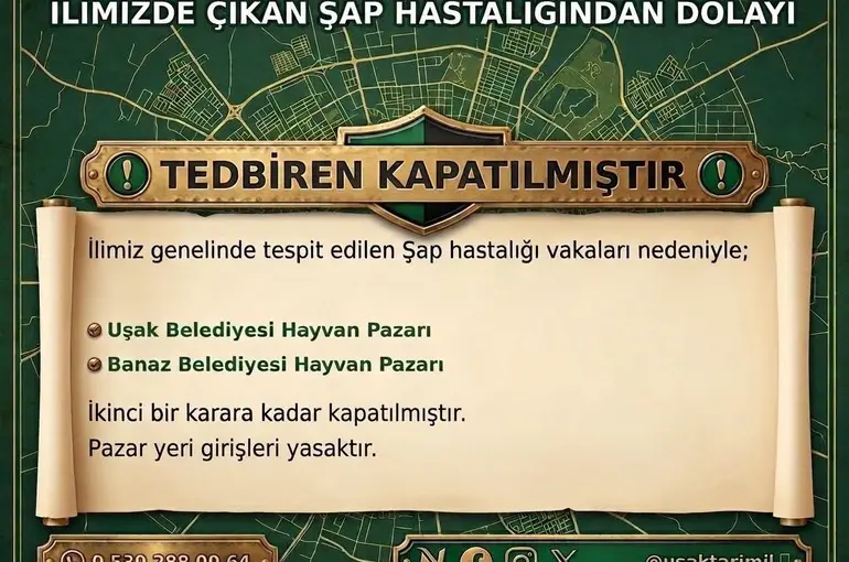 Uşak’ta hayvan pazarları şap hastalığı nedeniyle kapatıldı

