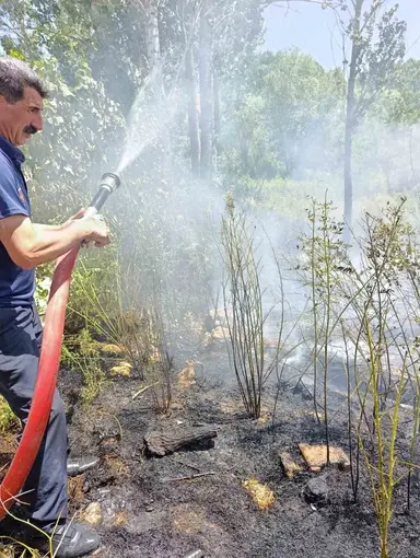 Van’da ağaçlık alanda yangın
