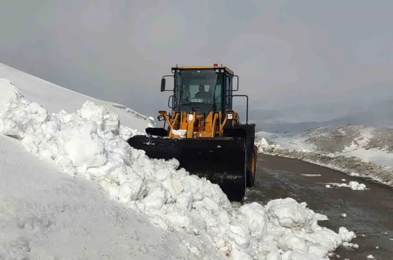 Van’da kar nedeniyle kapanan 67 yerleşim yerinin yolu açılıyor
