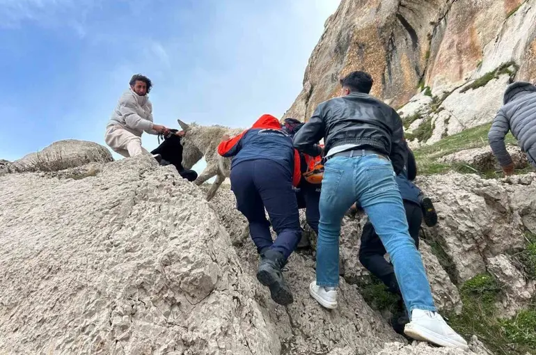Van’da kayalıklarda mahsur kalan eşek kurtarıldı
