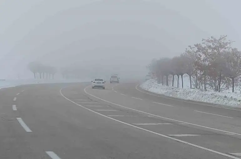Van’da sis ulaşımı olumsuz etkiledi
