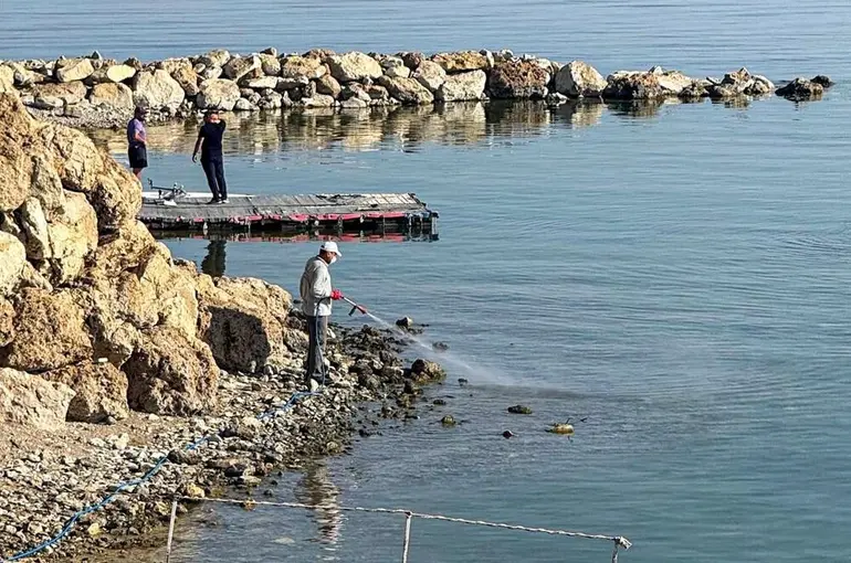 Van’da vektörle mücadele seferberliği
