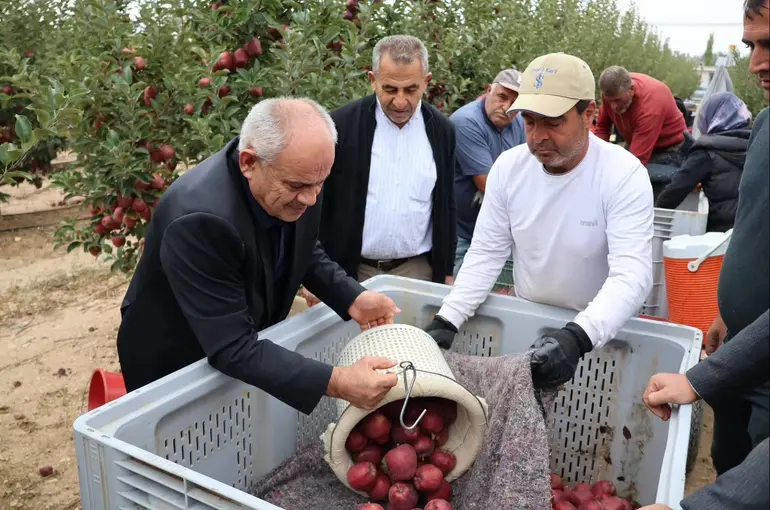 Yahyalı’da elma hasadı başladı
