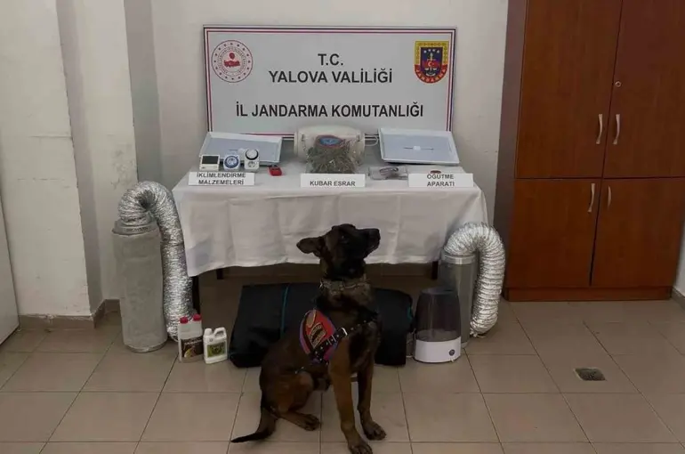 Yalova merkezli 3 ilde göçmen kaçakçılığı operasyonu: 3 tutuklama
