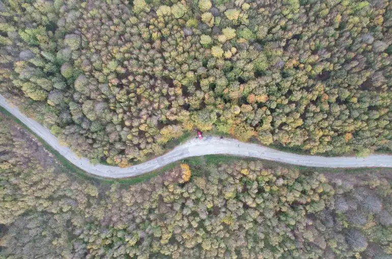Yalova ormanlarında sonbahar güzelliği
