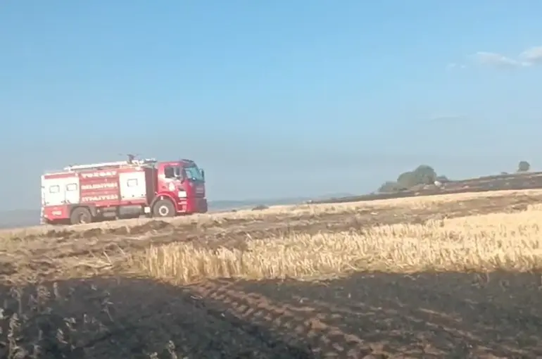 Yangına sebep olan şahıs tutuklandı
