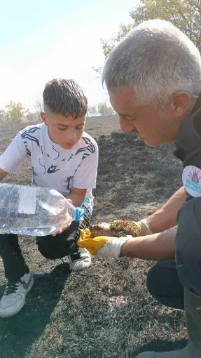 Yangında yaralanan kirpiyi itfaiye ekipleri hayata döndürdü
