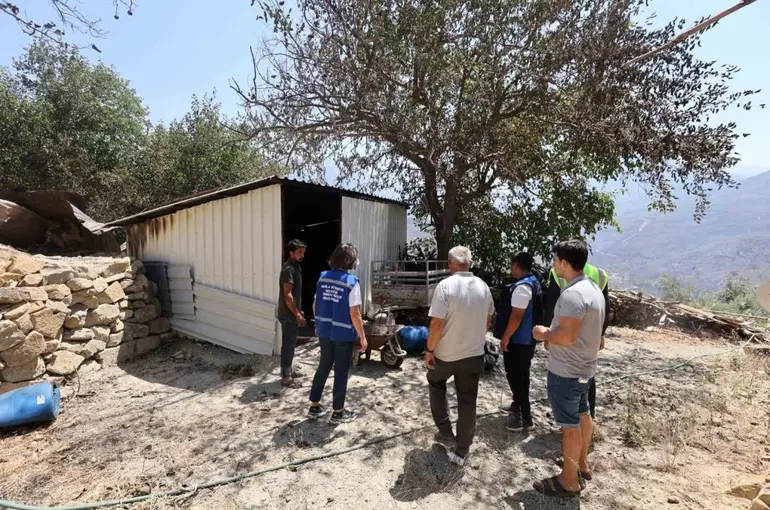 Yangında zarar gören çiftçilere Muğla Büyükşehir desteği
