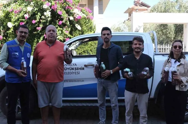 Yangınların ardından yeşil mücadele: Marmaris’ten Antalya’ya tohum desteği
