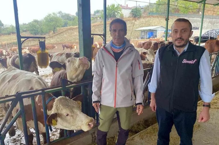 Yapay zeka süt hayvancılığında çığır açtı
