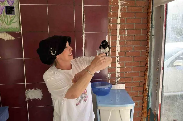 Yaralı bulduğu yavru saksağan kahvaltı arkadaşı oldu
