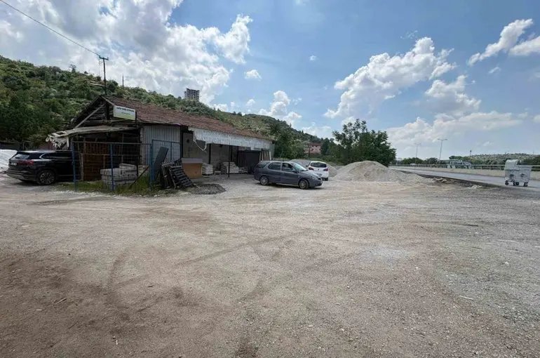 Yaşlı kadın sahipsiz köpeklerin saldırısından son anda kurtuldu
