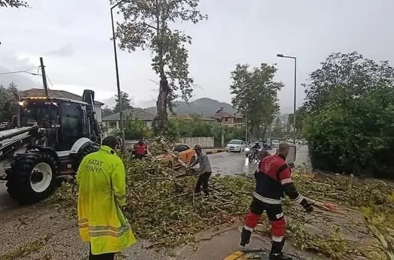 Yayladağı’nda aracın üzerine ağaç devrildi
