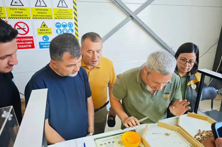 Yığılca TMO fındık alım merkezi açıldı
