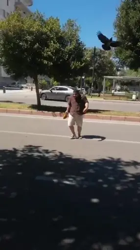 Yolda yürürken kargaların saldırısına uğradı neye uğradığını anlamadı
