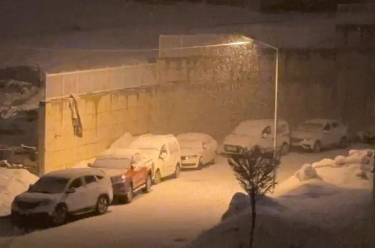 Yüksekova’da kar yağışı etkili oldu

