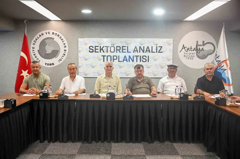 Zeytinde rekolte beklentisi yüzde 40 arttı
