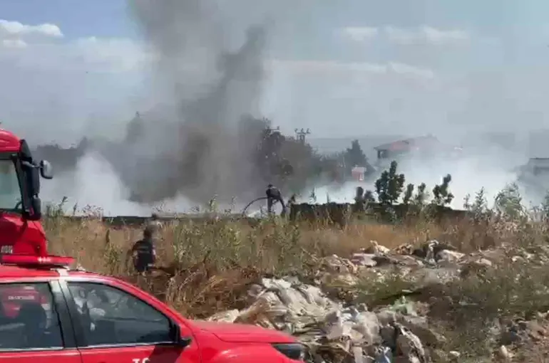 Zeytinlik alanda çıkan yangın korkuttu
